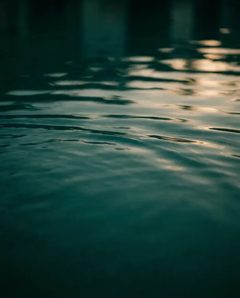 Agua en calma en tono petróleo